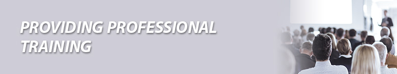 PROVIDING PROFESSIONAL TRAINING