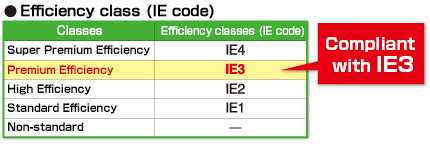 IE code
