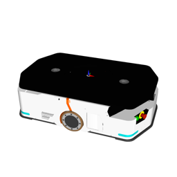 L1000